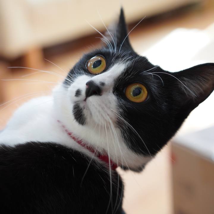 55baef40 2029 4587 b559 944b1f34e115 1618026966202