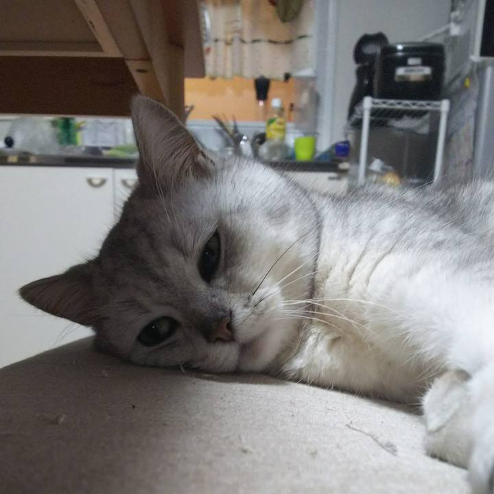 55baf46c f64e 4c00 9501 487966bb9a74 1523458731702