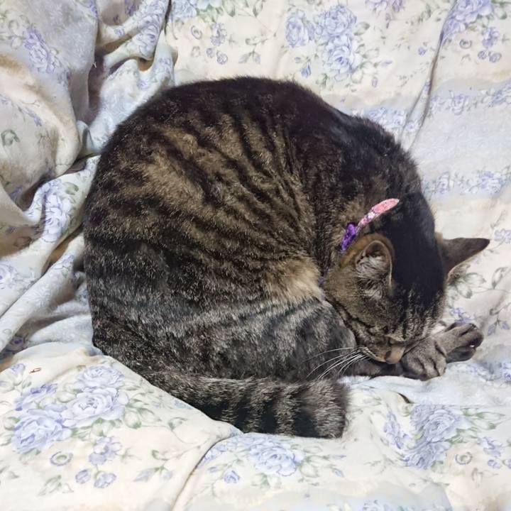 55bb33d4 3799 4b68 b990 580e0ed9b25f 1653827577139