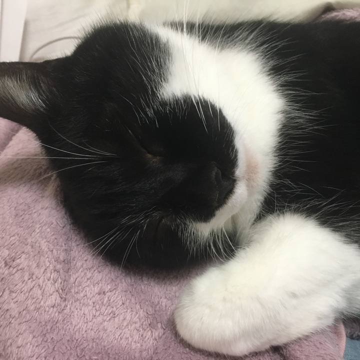 55bb349c caed 4a06 a1bb e24dea55e574 1585204053256