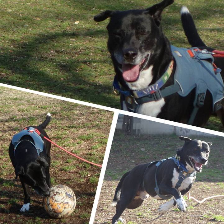 55bb4d2f 9921 4e5b 9a24 483b08624ce9 1709513633450