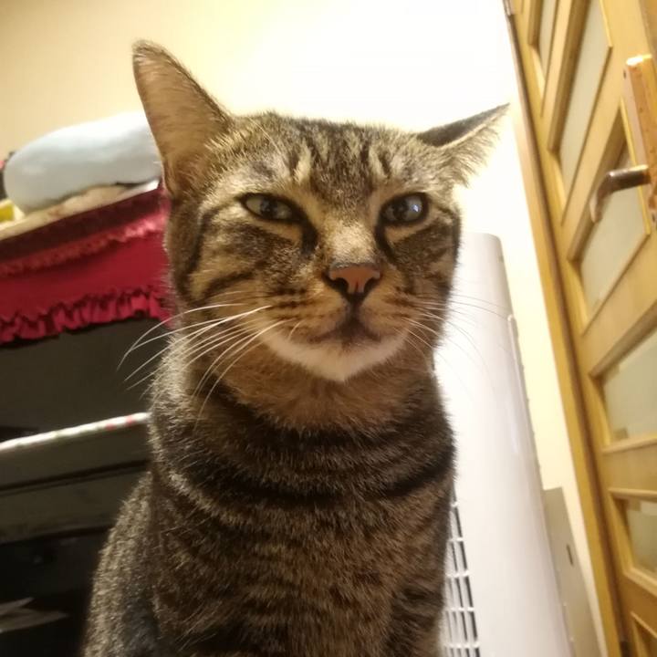 55bbb0a4 164a 4d24 95f9 ff43f53926b2 1535796713279