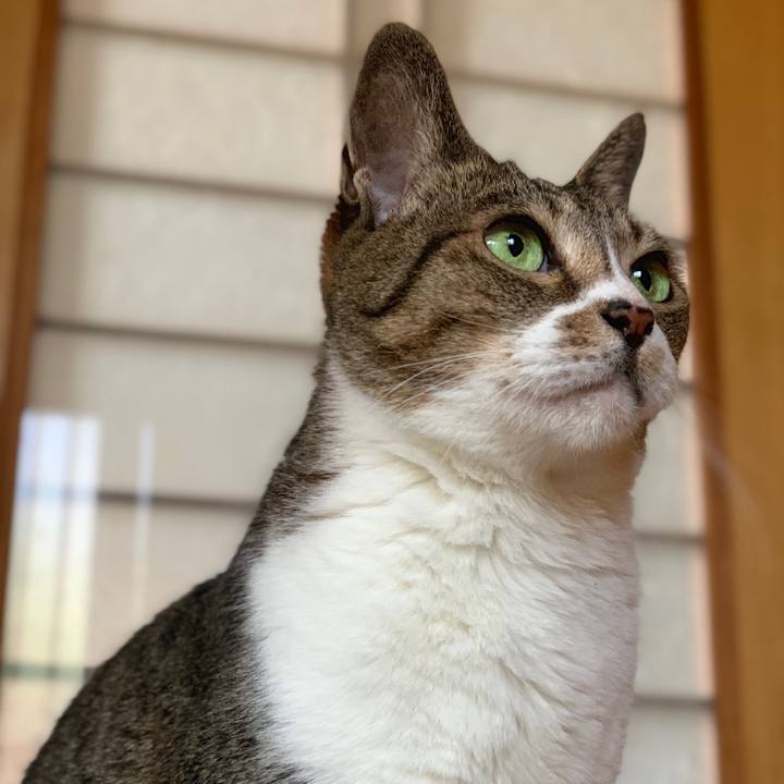 55bbbcd7 b877 41da 8c1b b2519a0370cc 1562978224723