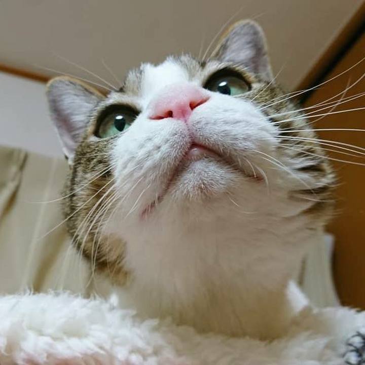 55bbc334 ae88 4f26 b658 2ae0ec58d284 1551105992316