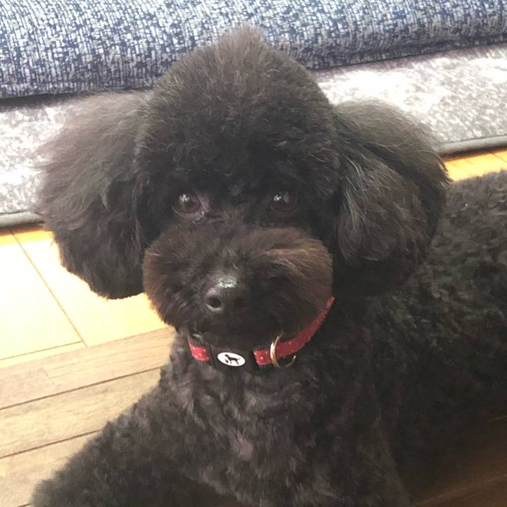 55bbf95f 3208 4f8f 8cf3 79c4ac166065 1613882953927