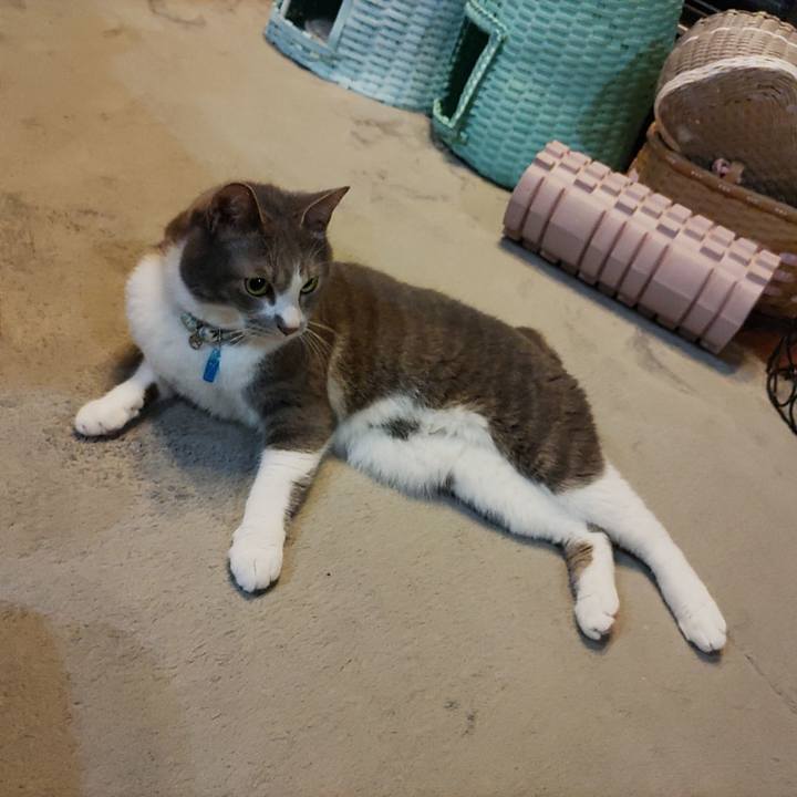 55bc8920 520e 4db5 a622 5fbbfdf03d26 1687443446972