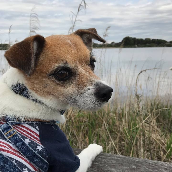 55bc92de 9d67 42fd 98f2 ad3f693dbb44 1556777615201