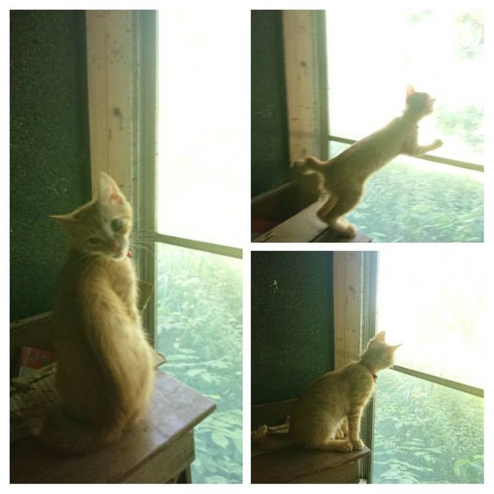 55bcbee4 669b 4b15 b558 a3cdc409b5d1 1631414988059