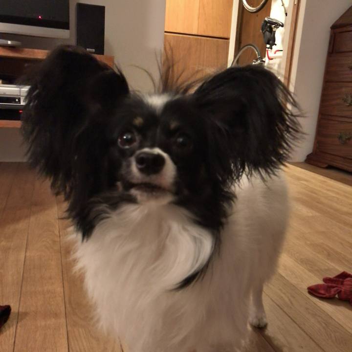 55bcc949 91d1 40d5 8e2a f3406581437c 1514553010979