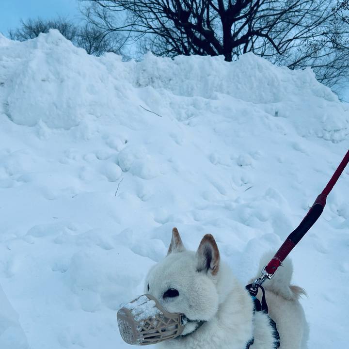 55bcf45e 0d63 4c2b 83d6 538677f00c60 1739058240253