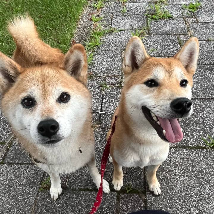 55bd0853 e7ee 4060 8bba 2b52f1fa4230 1755648449093