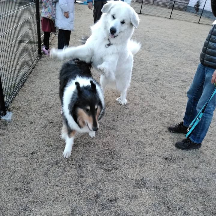 55bd2bac 8021 4385 9a22 61b9e85d8c04 1517065801732