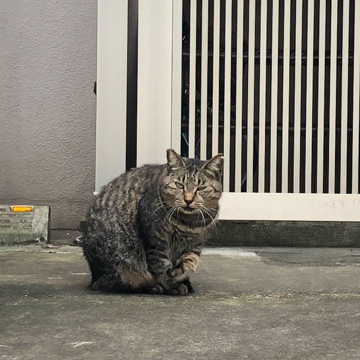 55bd3379 b7de 42c8 a2db 2de9696ec5c5 1603573003608