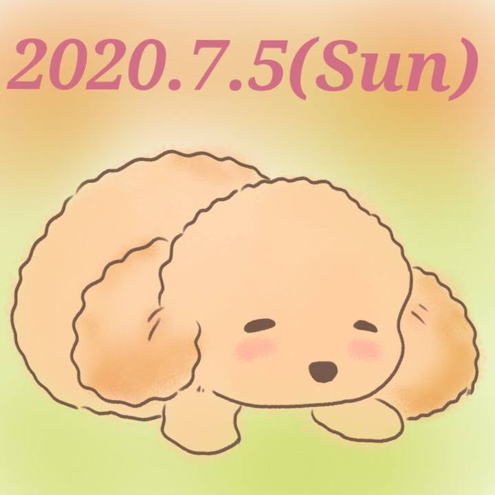 55bd3457 0603 432d 998c d2cdc4b0495e 1593911043137