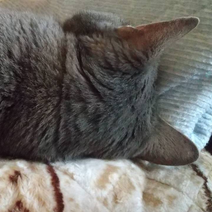 55bd8144 b292 4006 bb29 aa9df2530a9d 1687551970101