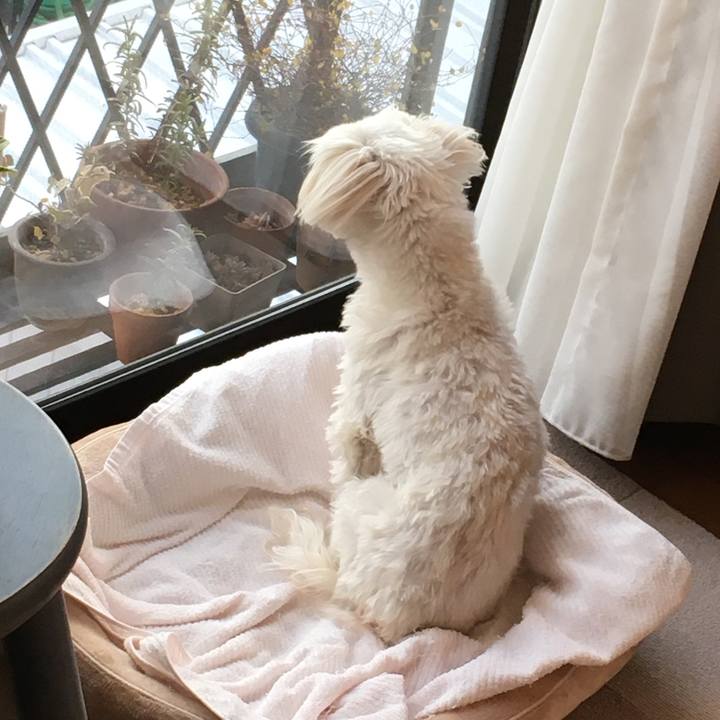 55bd8305 873f 40d7 8dba 3ffad215083e 1645884855973