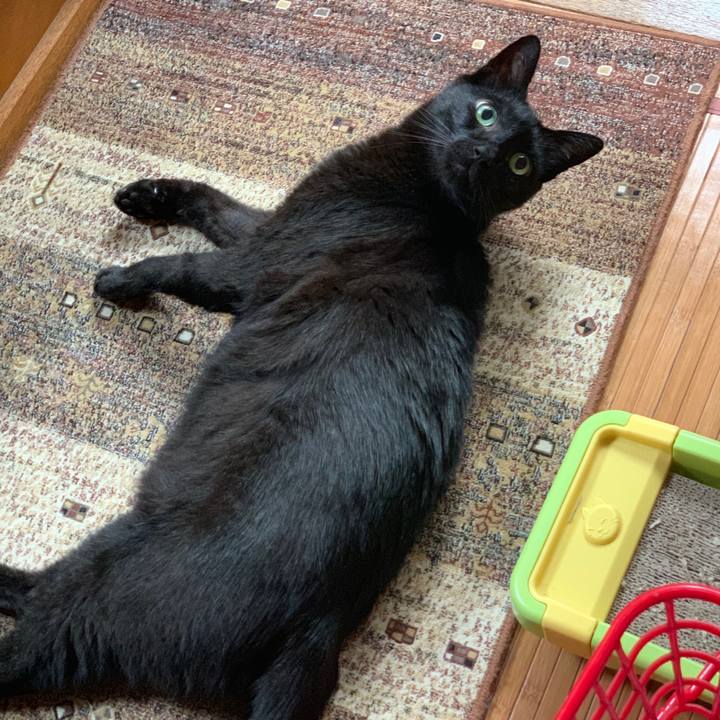 55bda23b a798 4c1f a565 a8d37f06ac8e 1562462024144