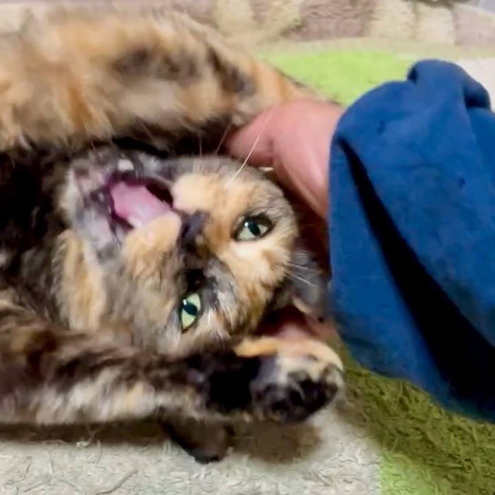 55bdd4a9 5264 4184 bbae 763cf4d22070 1751231335978