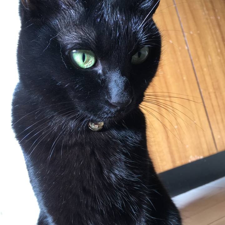 55bdf145 ab1f 4c64 8bdf 5acbd0896c9a 1515049009572