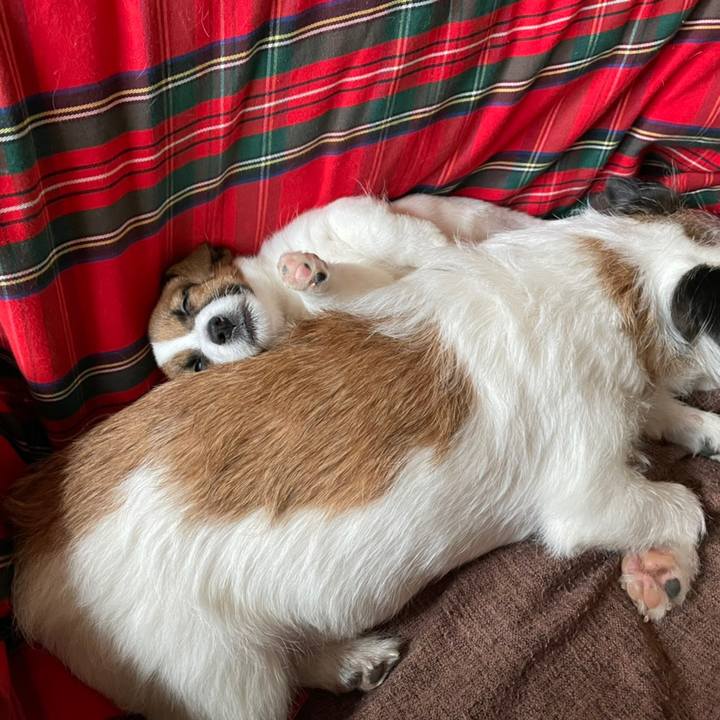 55be3dba 4aeb 41a1 b95b 0b6af83d745a 1615468978142