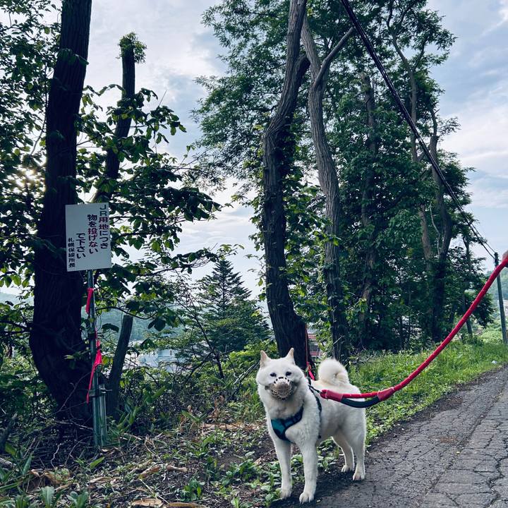 55be8296 3dd7 435f 837d 7e95542069b1 1751577279767