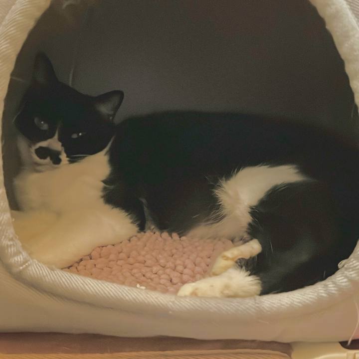 55beaa15 f0d3 4a6e bffd ef57f98457fd 1731634493009