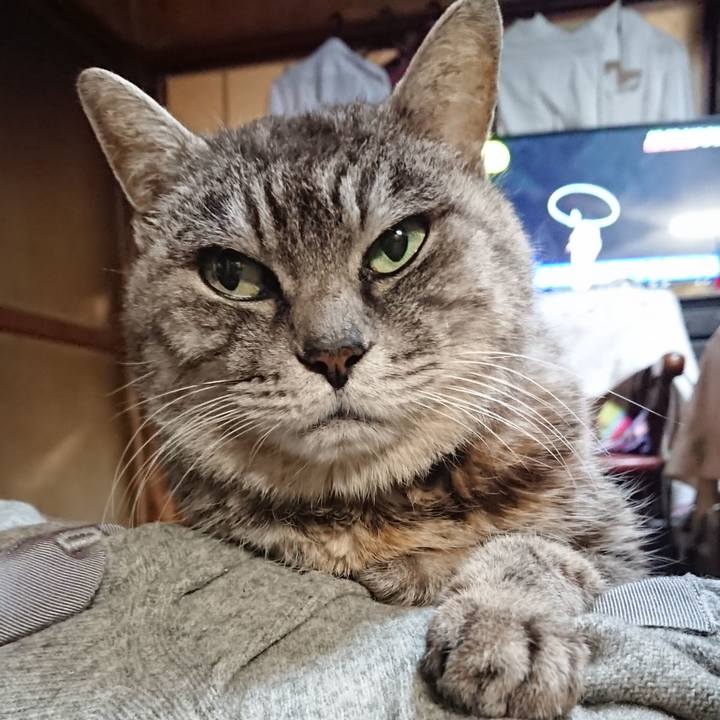 55becd98 0505 4968 9d8d 40a99871c16a 1575977391893