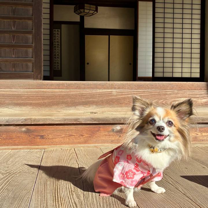 55beeb22 d0a9 456e 9415 a408bc271b85 1767505604136