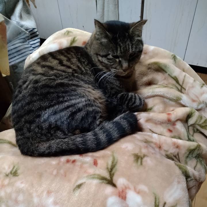 55bef85a 0ec6 4c32 9d37 0fb99e076e5c 1673525014789