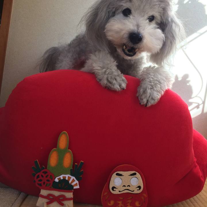 55bf37e5 6418 481a 8aae 04b05d2476ac 1512219707585