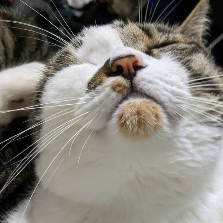 55bf3c63 3419 4845 987d a1b718354fcb 1686742661577