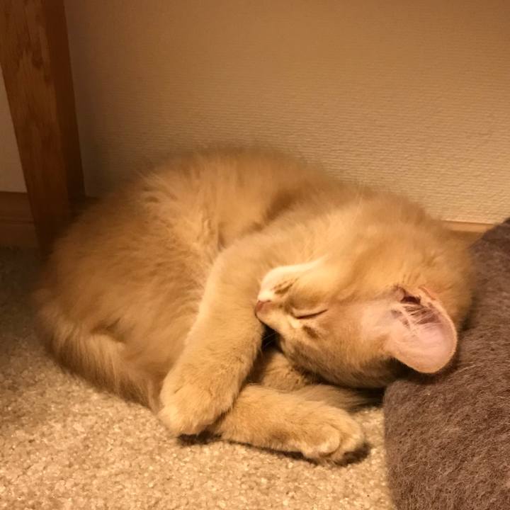 55bf595f 660a 4717 be15 d33ae823b9ab 1550486687488