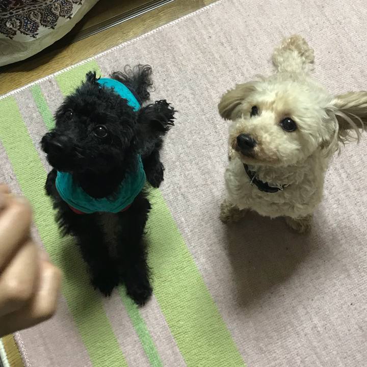 55bf59b3 f96f 41a9 ae30 d2f32f3c7af5 1524976685908