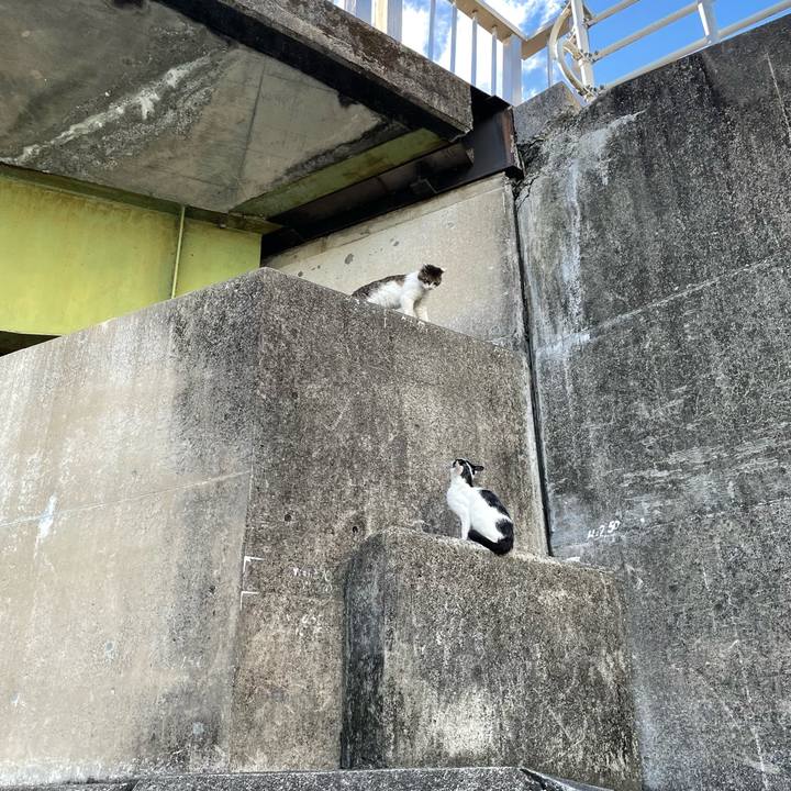 55bf70cc f988 481b bb18 481e3253eb35 1654533162885