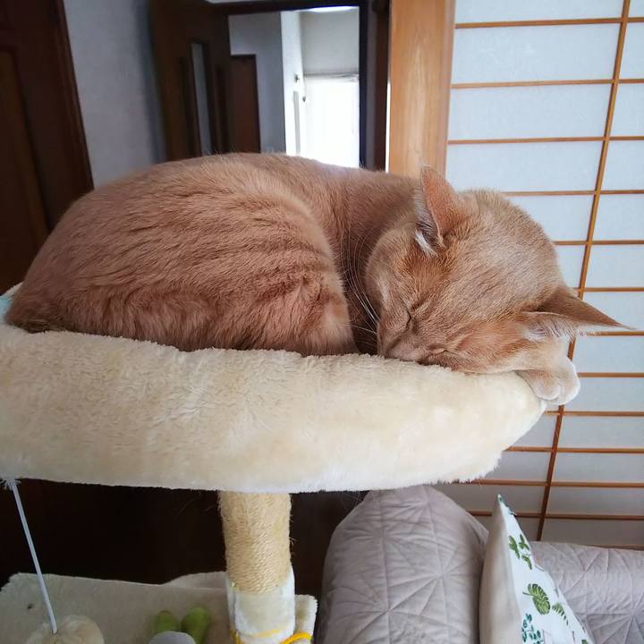 55bf7948 c65e 4281 b97a 2c5f8a114ed6 1645483945053