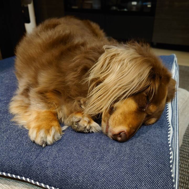 55bfa205 ce55 4122 a242 eb1ef6b74b14 1634728113868