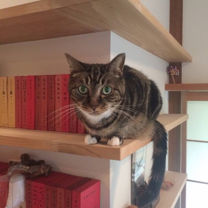 55bfba75 4b74 45aa bdda 93929dc8fddc 1539267634668