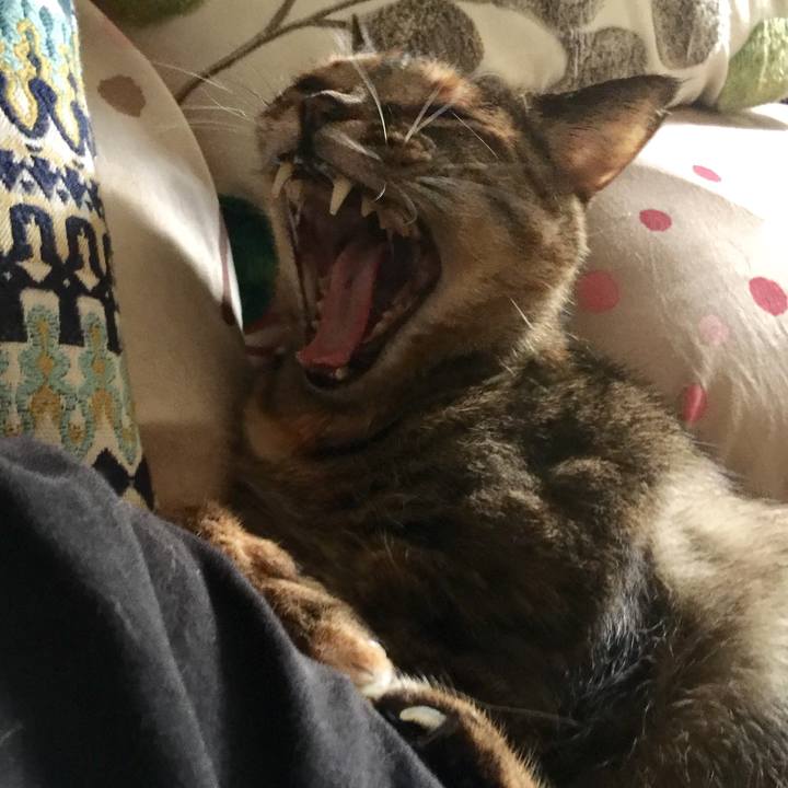 55bfdb7a 29b6 4a50 b127 f6d6023b20bf 1566027285160