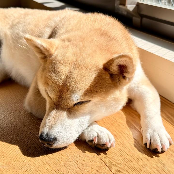 55bfdd79 6e5f 4caf 8bd6 f8d2aa72eea3 1773193037395