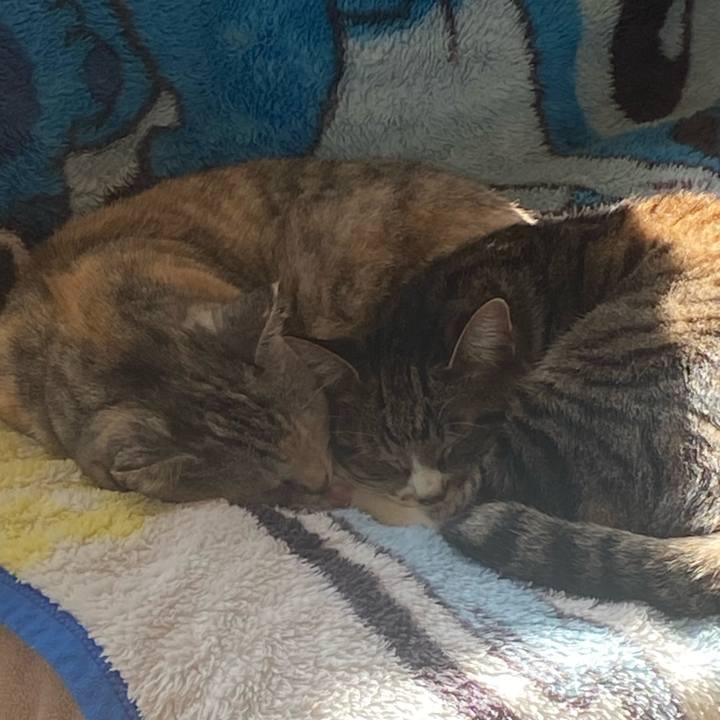 55c01fba 353b 4d5a aa56 7b2dc2a80c5d 1697252630796