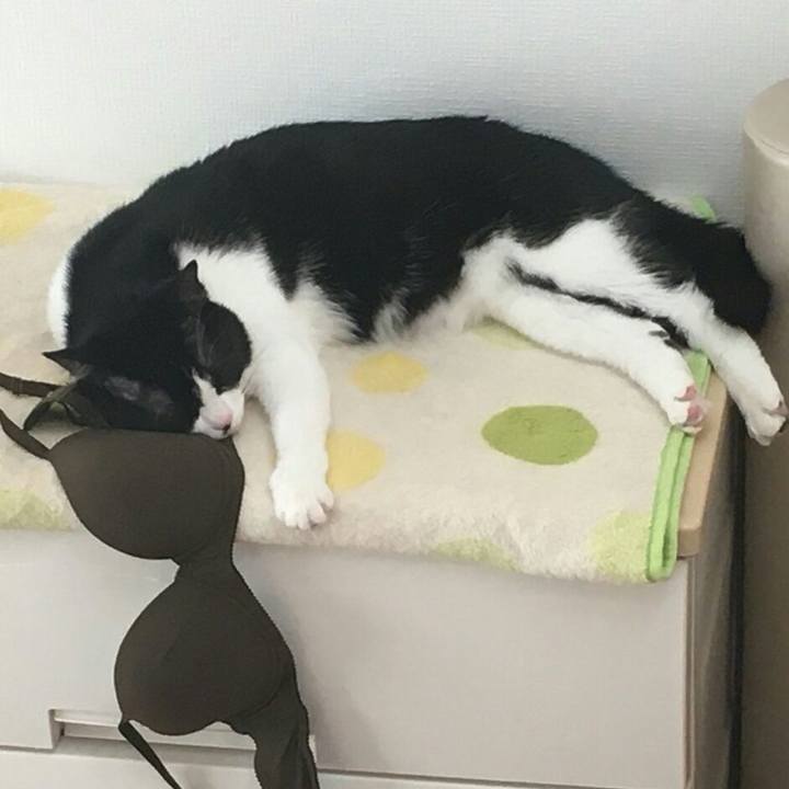 55c0483b bb5f 4833 8cdf 9a9ff77248a5 1516860688642