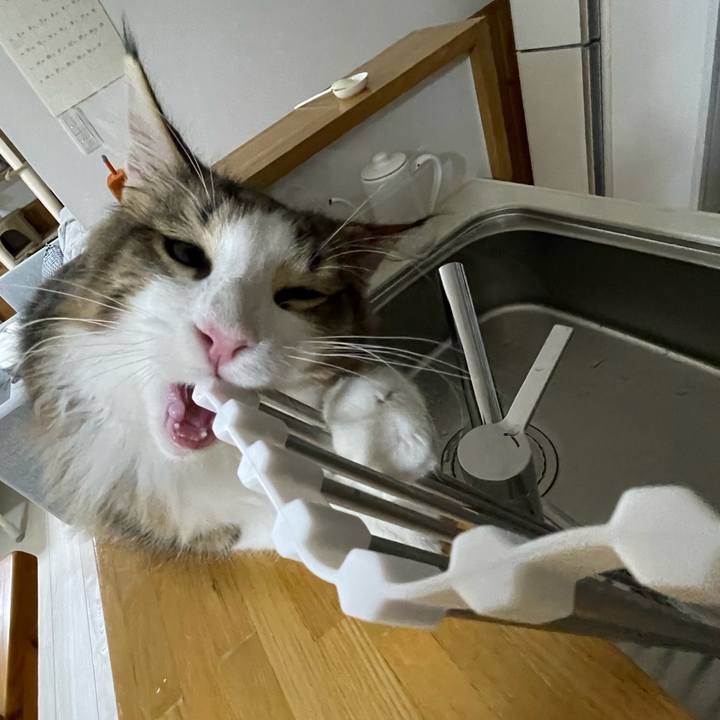 55c0588f ab5d 47a2 8549 7172b3673f12 1638651406895