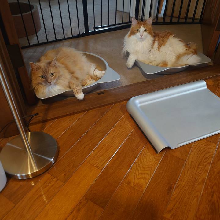 55c06312 67d2 4198 ad2b 738950c205e1 1689644364303