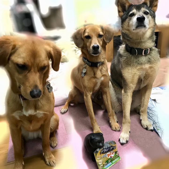 55c065a8 160e 46af 80da 70b6522b5b39 1529147891983