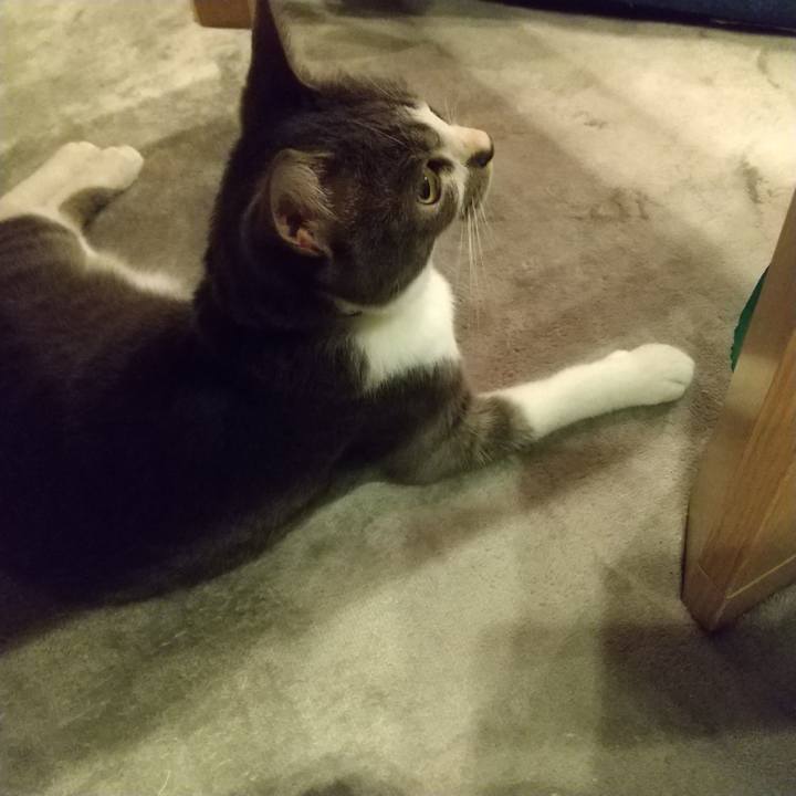 55c06b93 0dc9 4097 8e90 e2c407463b12 1598191257431