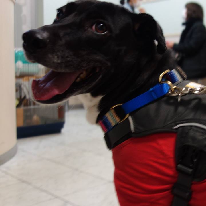 55c0b43c e8b5 424c 9500 ba3e9e6f9572 1643800811898