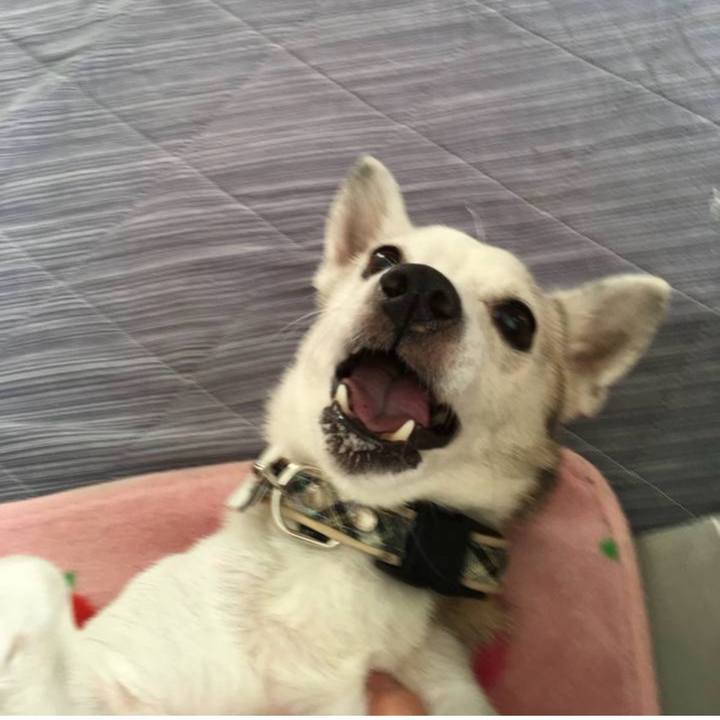 55c1011a b43a 4ddd b211 bbaeed8984cc 1762210393555