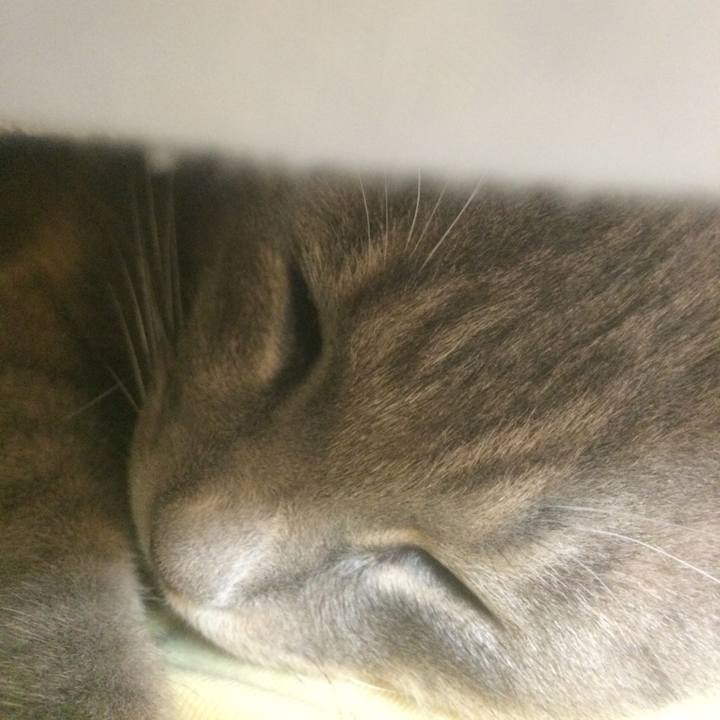 55c17ad8 929b 4127 8aa4 4fdd64989670 1541943946950