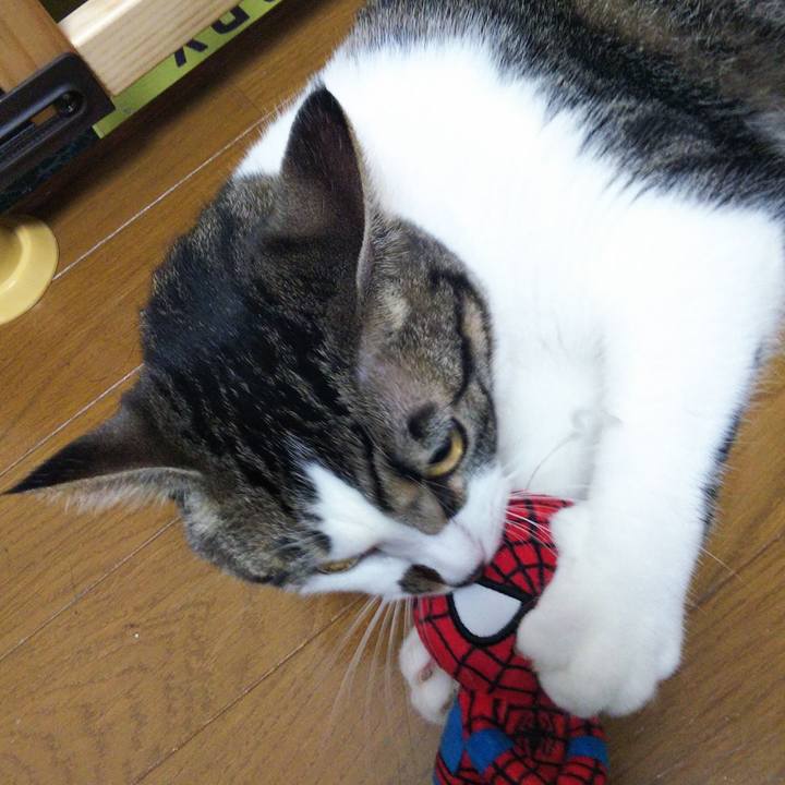 55c194db 1854 4bcf b208 8d775c29fb17 1631191636013