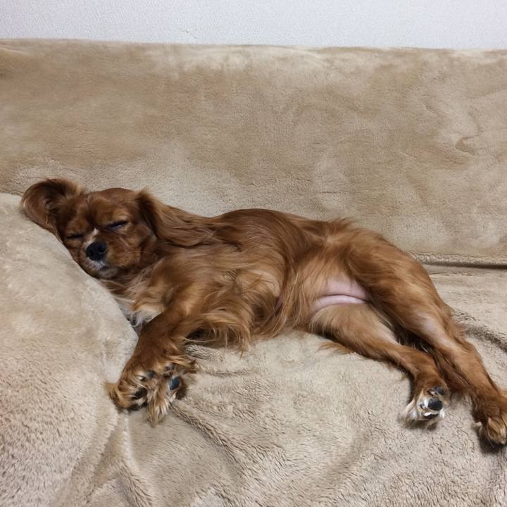 55c1a980 c661 41c4 a2cb f90b1bcf1cd9 1521755795242